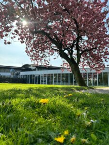 Read more about the article Sommerens åbningstider