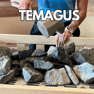 Reklame billede for temagus